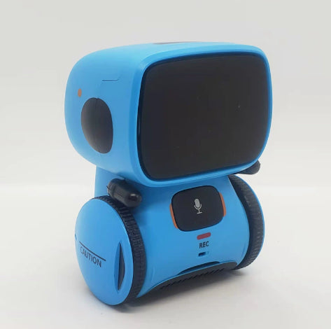 Voice Recognition Robot